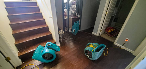 Best Ceiling water damage repair  in Lincoln, ID