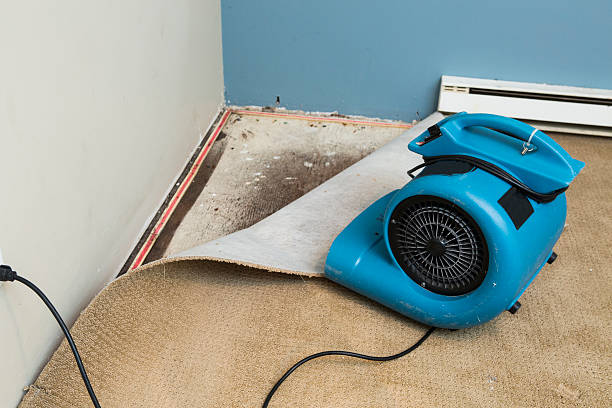 Best Water damage restoration near me  in Lincoln, ID